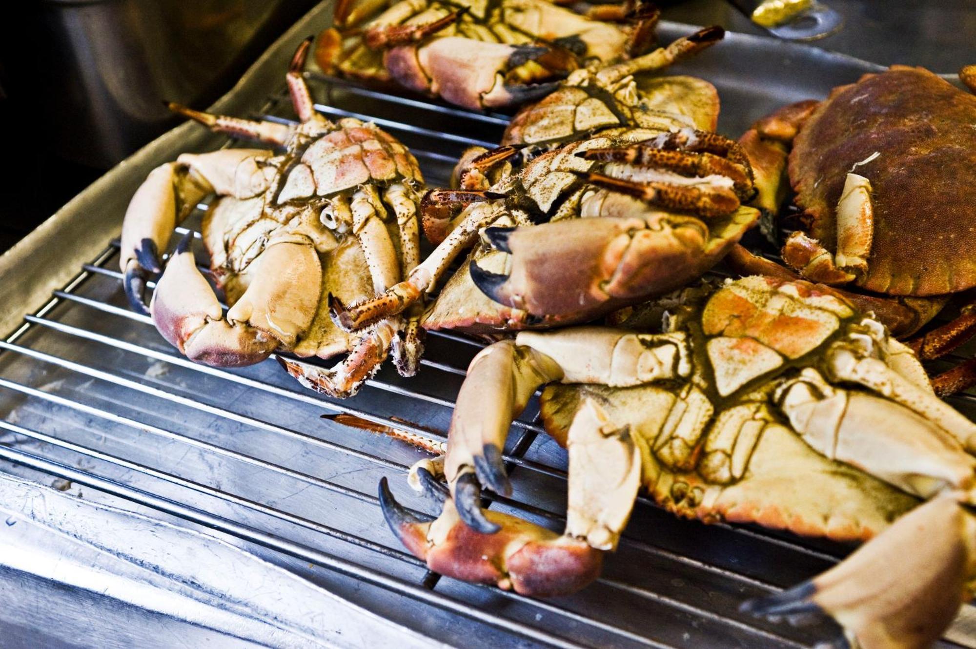 德文郡花园杜文酒店 格拉斯哥 外观 照片 Mud crab